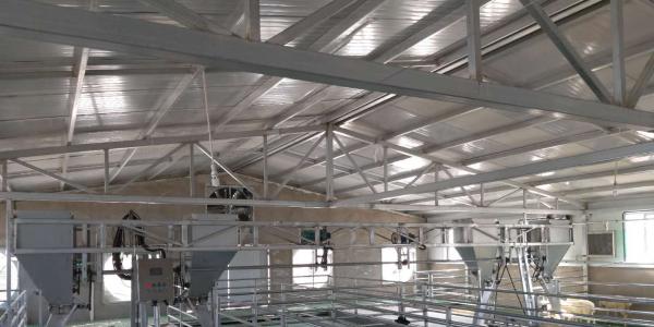 全自動肉羊飼喂機(jī)組-地軌式